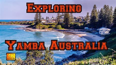 The town economy is strongly based on fishing and tourism, but has a diverse range of influences. Exploring Yamba Australia, part1 - YouTube