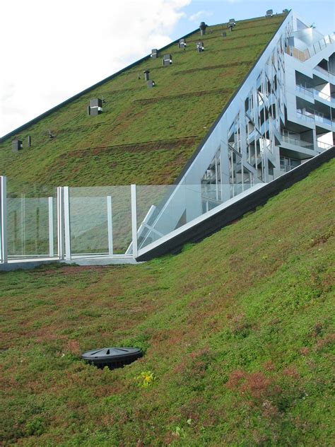 Bigs 8 House Wins The 2010 Scandinavian Green Roof Award