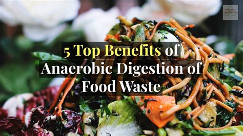 Food Waste Anaerobic Digestion The Main Benefits Hot Sex Picture