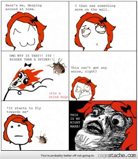 Stink Bugs Are Like Giant Flying Spiders Stink Bugs Rage Comics
