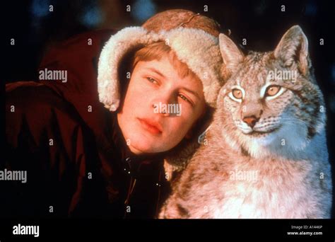 Poika Ja Ilves Tommy Und Die Wilde Katze Jahr 1998 Direktor Raimo O