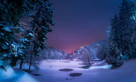 Download Lake Landscape Night Winter Forest Path Snow Wallpaper By