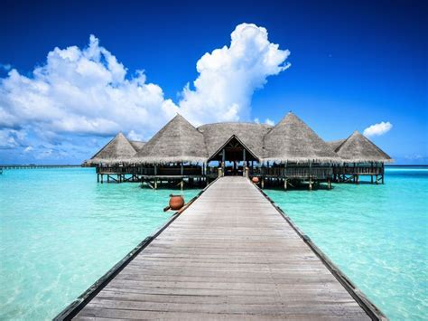 Maldives Enjoy The Sunny Side Of Life With Sea Beaches Palms