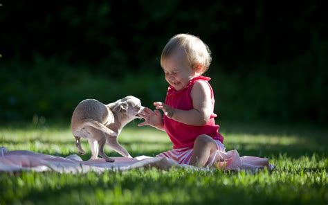 Baby Playing With Puppy