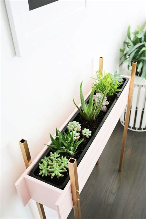 The mountain lion that was stalking him however just circled the base, stared upwards and growled for a few minutes before giving up and. diy-indoor-cactus-with-wooden-box | Diy plant stand, Diy ...