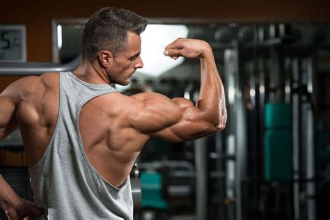 Most guys can gain 0.25kg/0.5lb of lean muscle per week when they start. How to Gain Weight (and Muscle) as Fast as Possible