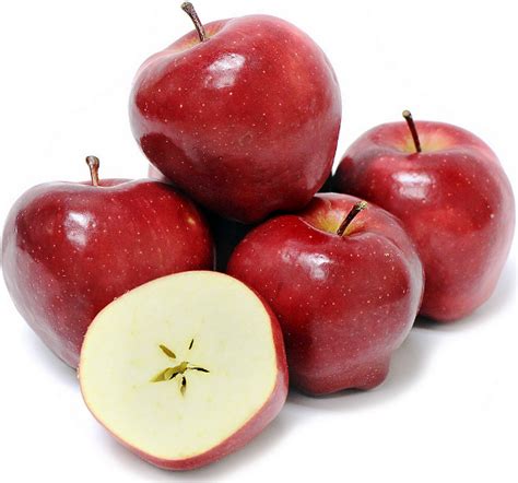 Umumnya buah apel ini berwarna merah hijau dan kuning. 15 Gambar Buah Apel Merah