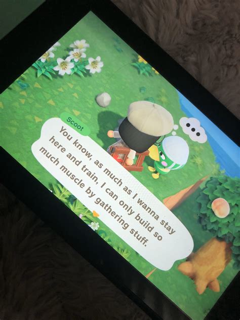 Jenna On Twitter Adorable But I Can Not Have Another Jock Villager