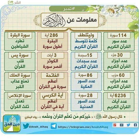 معلومات عن القرآن الكريم Islamic Phrases Islamic Messages Islamic