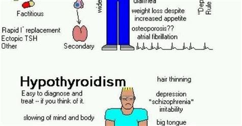 hypothyroidism and hyperthyroidism health fitness thyroid fastsimplefit like us on