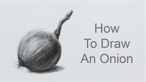How To Draw An Onion Step By Step Pencil Sketch Onion Drawing Youtube