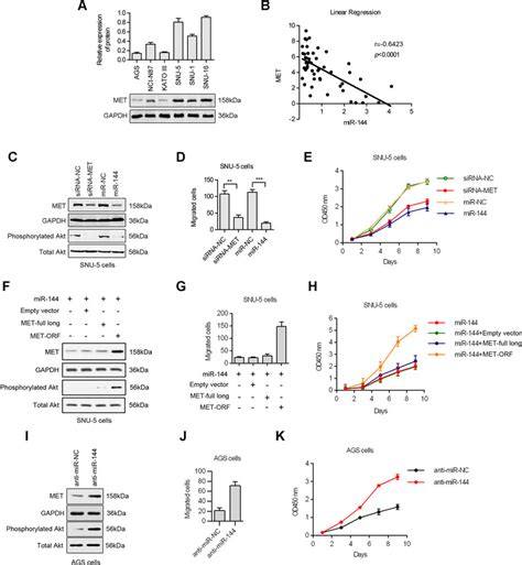 met modulation accounts for the antimetastatic effect of mir 144 a download scientific
