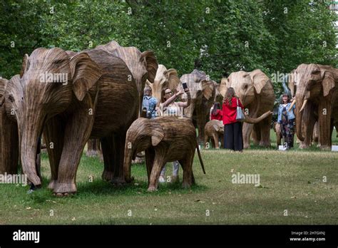 Coexistence Environmental Art Exhibition Featuring 100 Life Size Lantana Elephants In Green Park