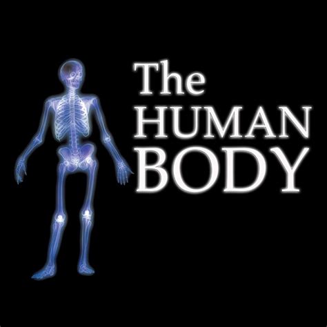 Everything You Want To Know About The Human Body
