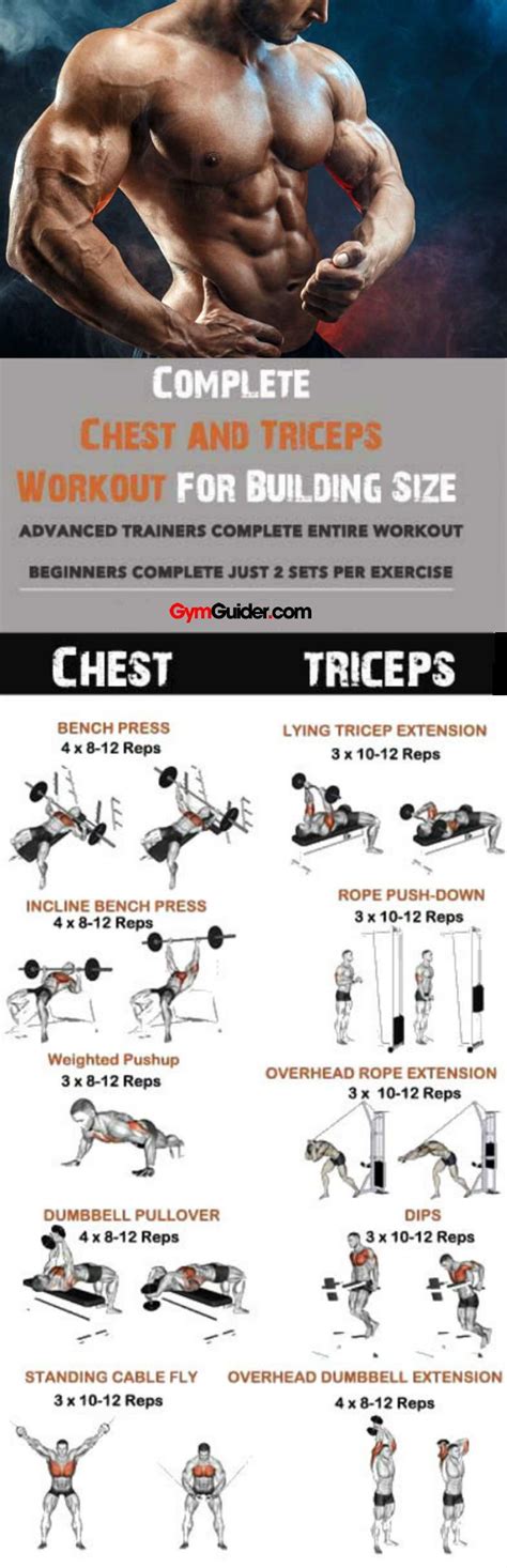 25 Full Body Best Chest And Triceps Superset Workout For Back Workout For Beginner