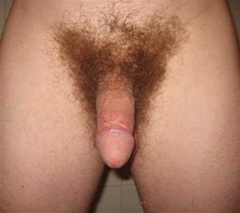 F13 In Gallery Hairy Dick And Bull Balls Picture 4