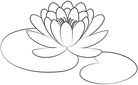 Lily Pad Coloring Page