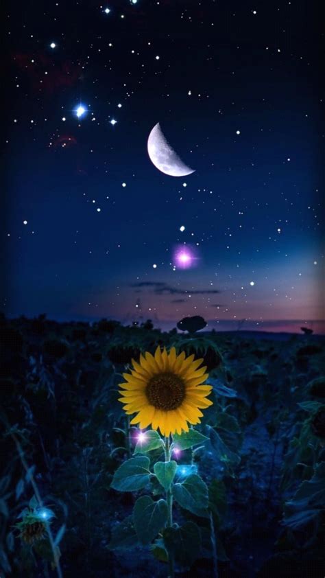Pin By Lisa S On Wallpapers Starry Night Wallpaper Sunflower Iphone