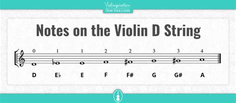 All Violin Notes On The D String With Easy Pdf Charts Violinspiration