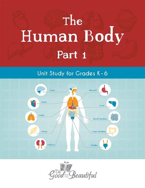 Science And Health The Good And The Beautiful Human Body Unit Study