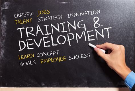 What Is Employee Training And Development And Its Importance Riset