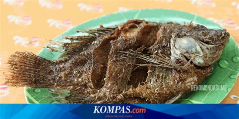 Nomor satu dan dua adalah jenis nila yang diklaim paling cepat besar. Ikan Nila Tauco : Tauco Ikan Nila Dimanaja Com - Masak ...