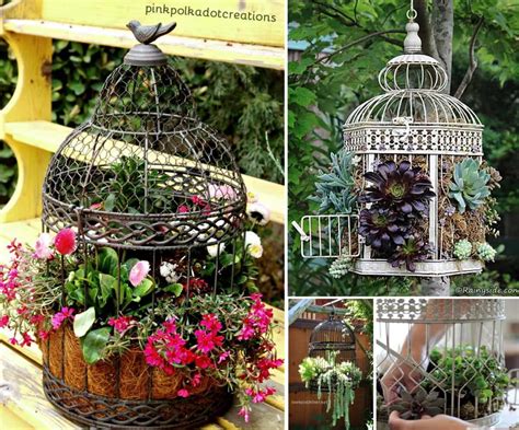 Birdcage Planter Ideas You Will Love The Whoot Birdcage Planter