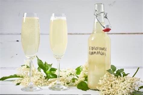 Elderflower Champagne Recipe Great British Chefs