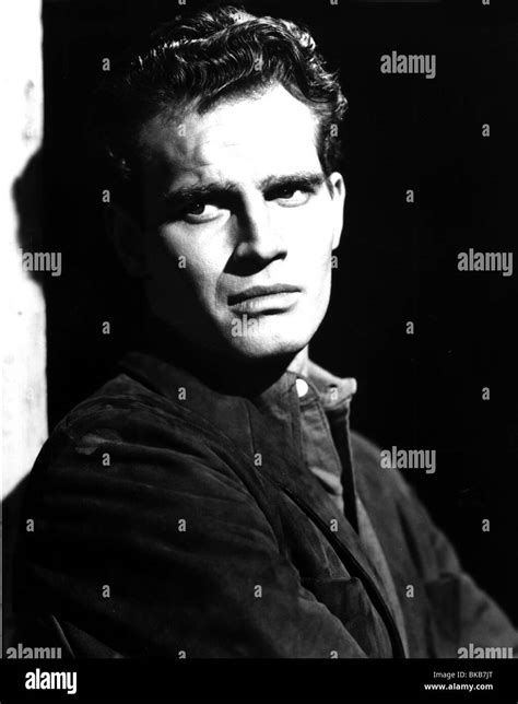 Charlton Heston Portrait Stock Photo Alamy