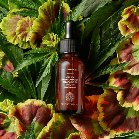 Shop Cbd Face Oil For Beautiful Skin True Botanicals True Botanicals Cbd