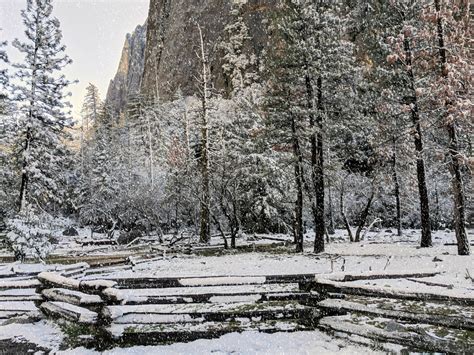 Winter Scene Free Stock Photo Public Domain Pictures