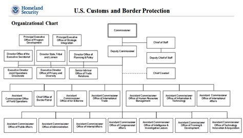 Department Of Homeland Security Organizational Chart Us Free Download