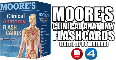 Moores Clinically Oriented Anatomy 8th Edition Pdf Free Download