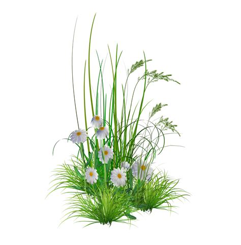 Garden Png File Png All Png All