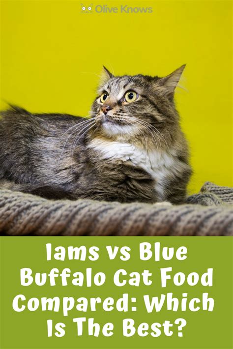 Despite the promotion of healthy ingredients, this dog food brand three types of blue buffalo dog foods were recalled due to potentially toxic levels of vitamin d there were reports of melamine in many of the dog and cat products. Iams vs Blue Buffalo Cat Food Compared: Which Is The Best ...