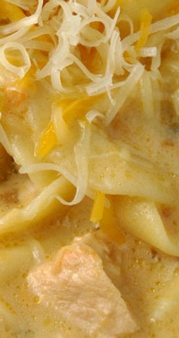 Chunks of chicken breast are combined with beans, salsa, corn and spices, then mixed into a creamy soup. Crock Pot Cheesy Chicken Fajita Noodle Soup | Crockpot ...