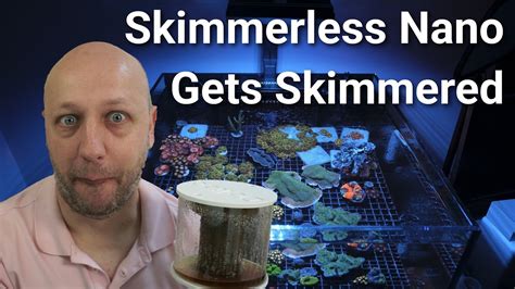 Why I Added A Skimmer Skimmerless Nano Ep 5 Youtube