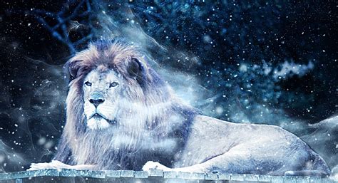 Download Lion Snow Art Royalty Free Stock Illustration Image Pixabay