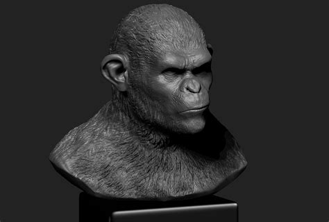 猿族崛起 凯撒模型雕刻三维人物生物小宋脑师 原创作品 站酷 Zcool