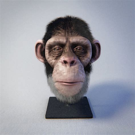 Ape Head