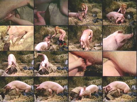 Naked Pigs Of Girls