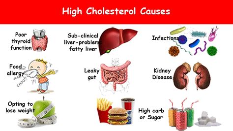 It's not inherently bad. your body needs it to build. 8 High Cholesterol Causes - YouTube
