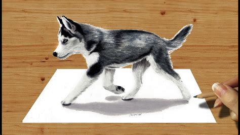 Husky Dog Drawing At Free For Personal