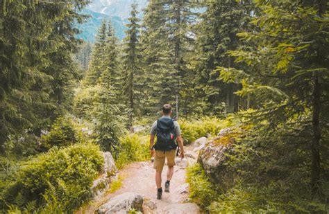 3 Physical And Mental Health Benefits Of Walking In Nature Keymer Health