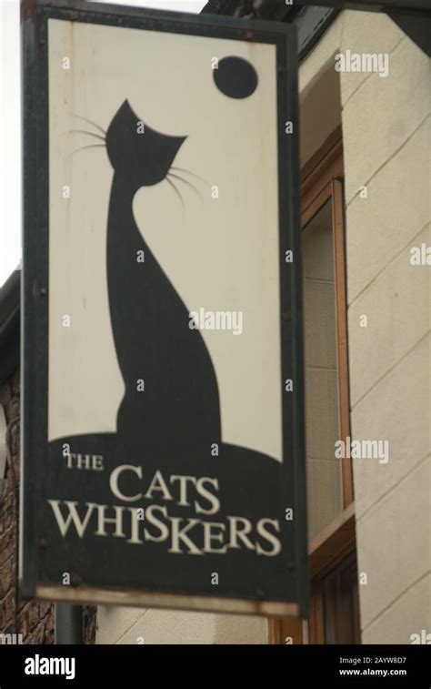 The Cats Whiskers Bistro Guisborough North Yorkshire Stock Photo Alamy