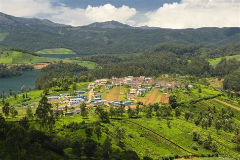 Nilgiri Hills Definition And Meaning Collins English Dictionary