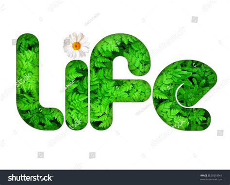 Word Life Full Green Leaves Stock Illustration 30518761 Shutterstock