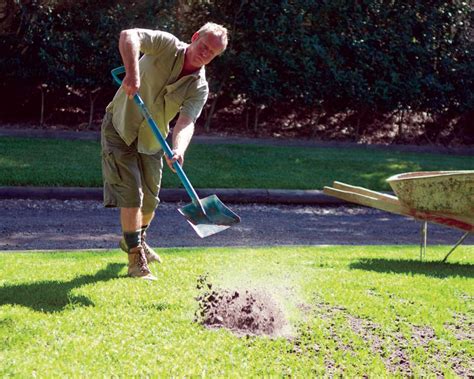 Topdressing the lawn with sand leveling the lawn. Top Dressing | Maintenance Advice & Tips for a Healthy ...