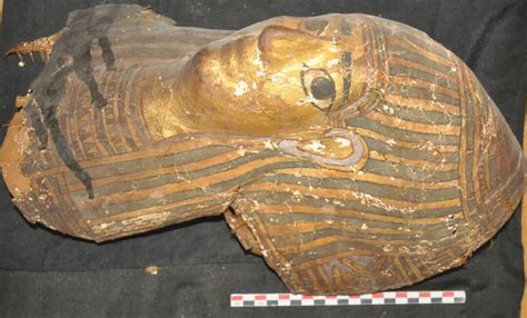 egyptian archaeologists discover 10 tombs and mummies observer