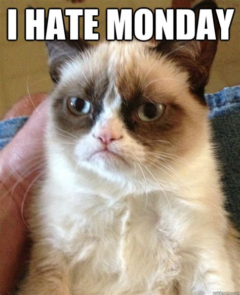 You can start your day with freshness cheerful. I Hate Monday Cat Meme - Cat Planet | Cat Planet